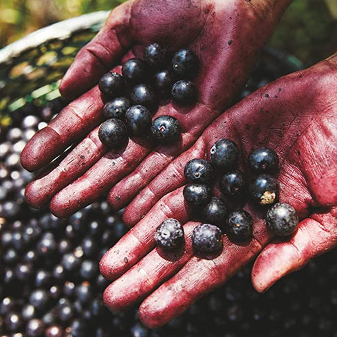 Natura Ekos Açaí Hand Cream 75g