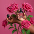 O Boticário Floratta Rose Sucrée Eau de Parfum 75ml