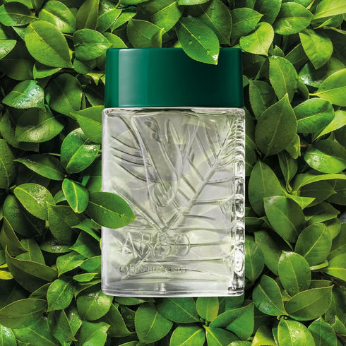 O Boticário Arbo Eau de Toilette 100ml