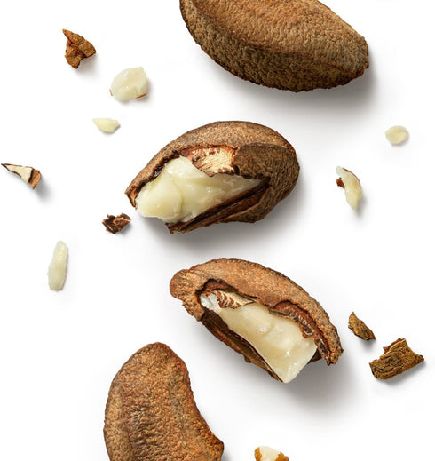 Natura Ekos Castanha Creamy Bar Soap Set 4x100g